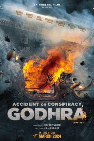 Accident or Conspiracy: Godhra (2024) Hindi