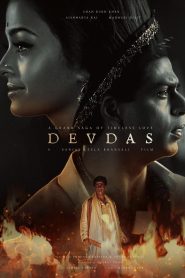 Devdas (2002) Hindi