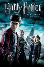 Harry Potter and the Half-Blood Prince (2009) Hindi Dubbed